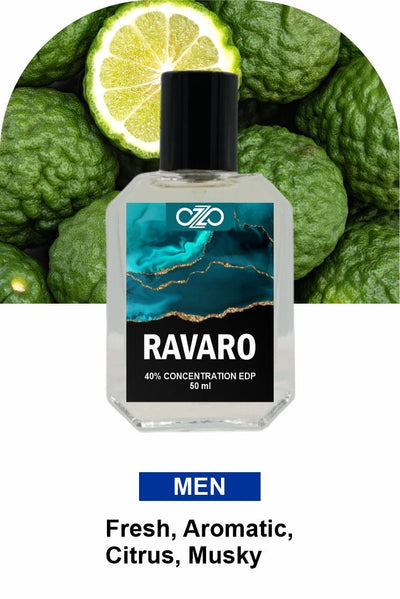 RavaroInspired by <span class="insprition"> Sauvage</span>
